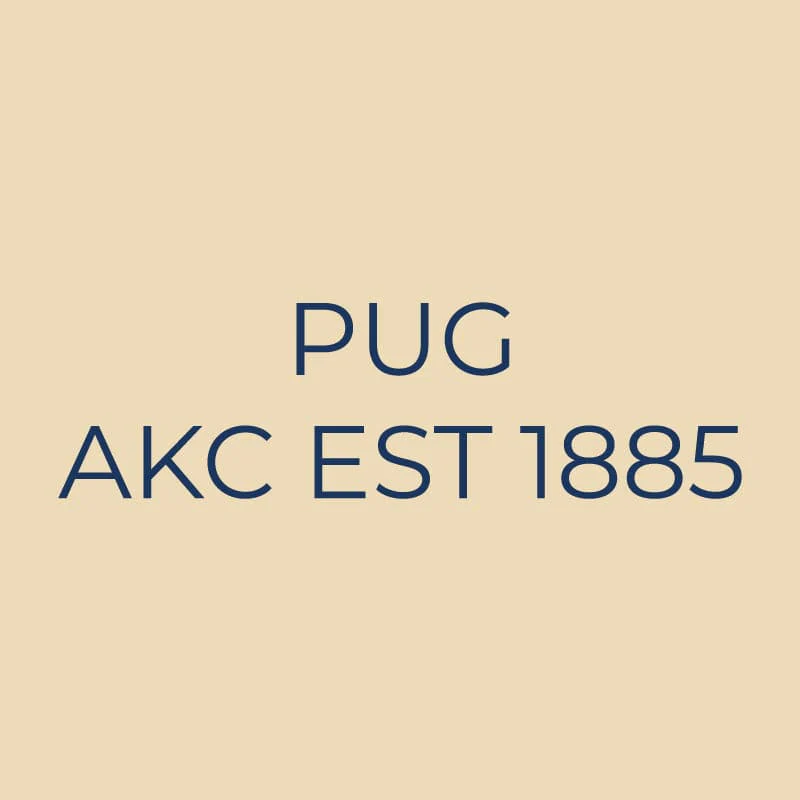 Pug Embroidered AKC Quarter Zip - Image 3
