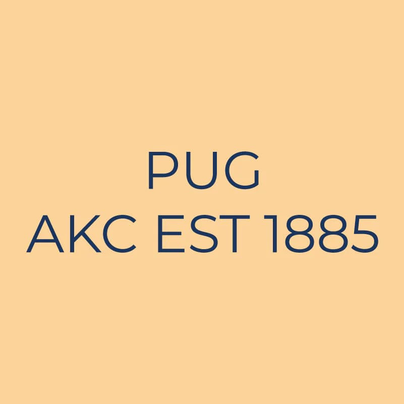 Pug Embroidered AKC Quarter Zip - Image 6