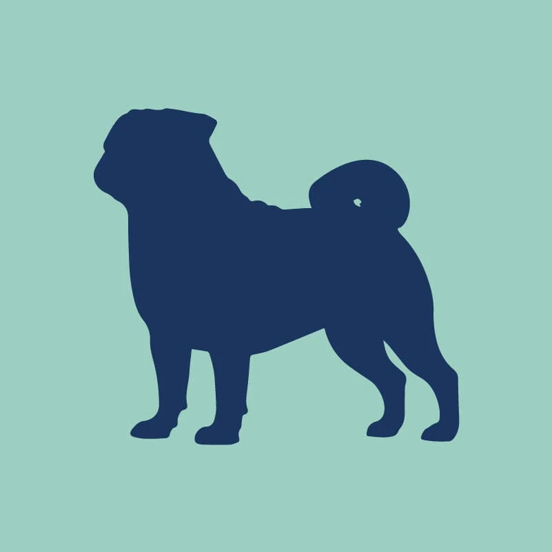 Pug Embroidered AKC Quarter Zip - Image 8