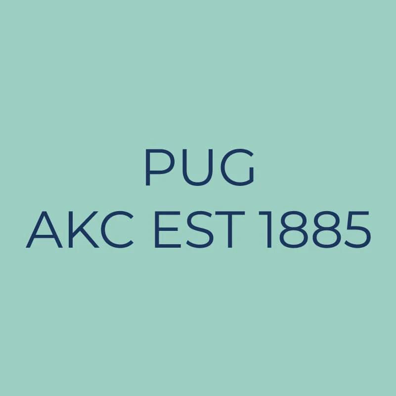 Pug Embroidered AKC Quarter Zip - Image 9