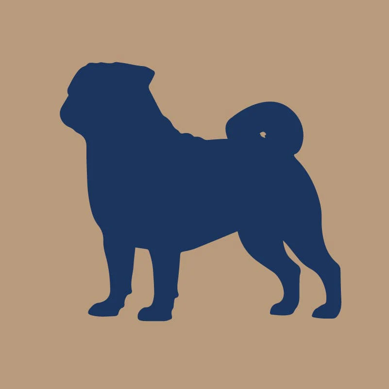 Pug AKC Embroidered Visor - Image 2