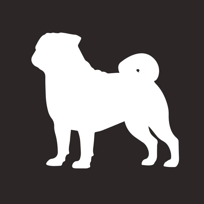 Pug AKC Embroidered Visor - Image 4