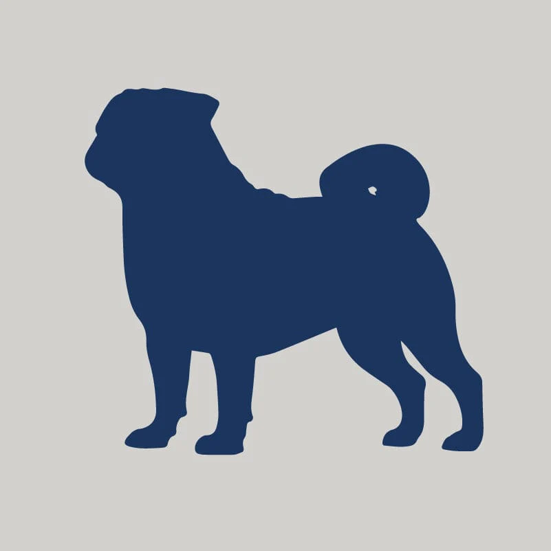 Pug AKC Embroidered Visor - Image 6