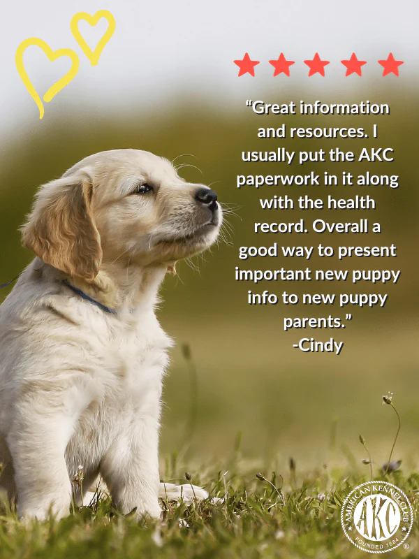 (5 per Pack) Puppy Information Folder - Image 3