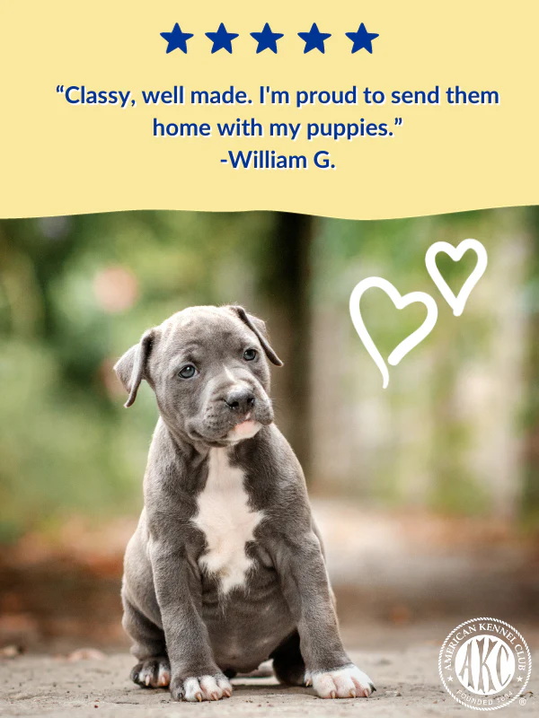 (5 per Pack) Puppy Information Folder - Image 4