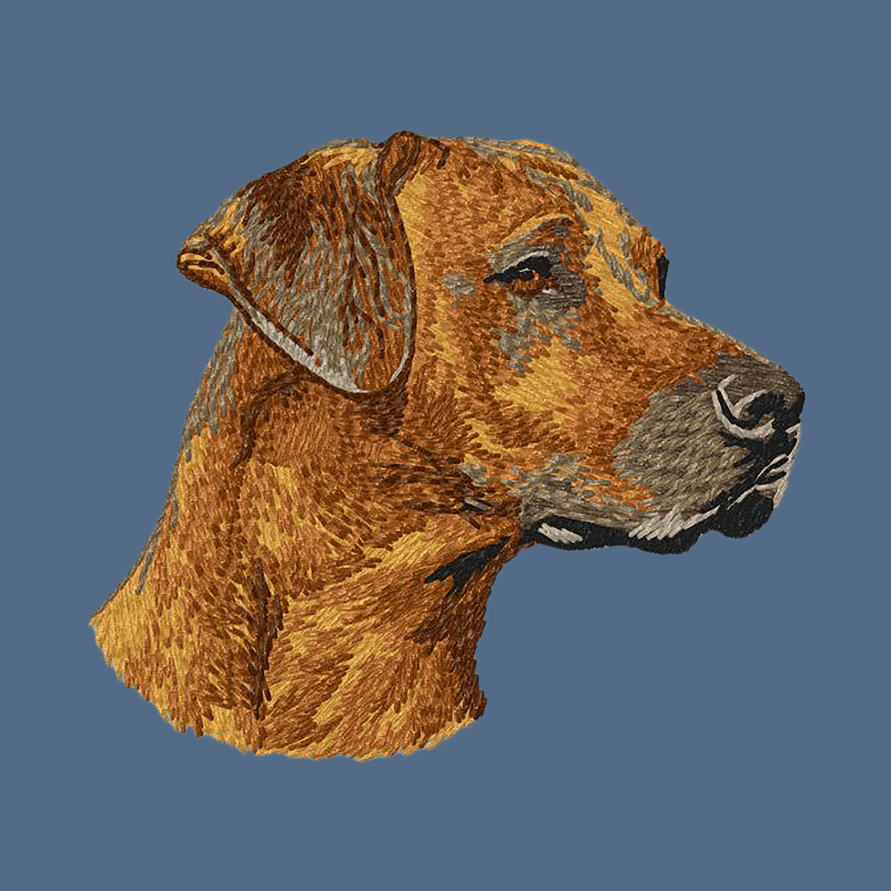 Rhodesian Ridgeback Embroidered Women's Denim Shirt - Image 4