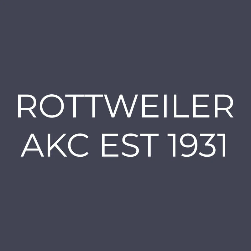 Rottweiler Embroidered AKC Quarter Zip - Image 12