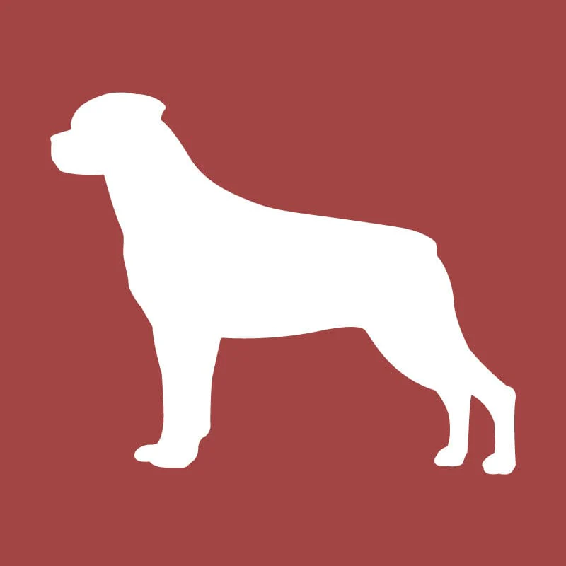 Rottweiler Embroidered AKC Quarter Zip - Image 14
