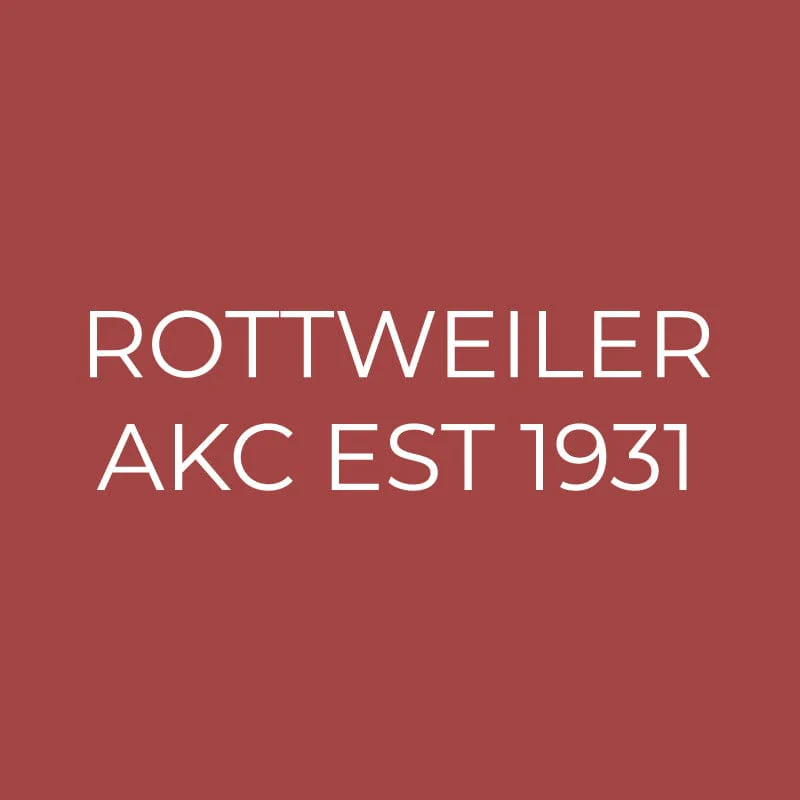 Rottweiler Embroidered AKC Quarter Zip - Image 16