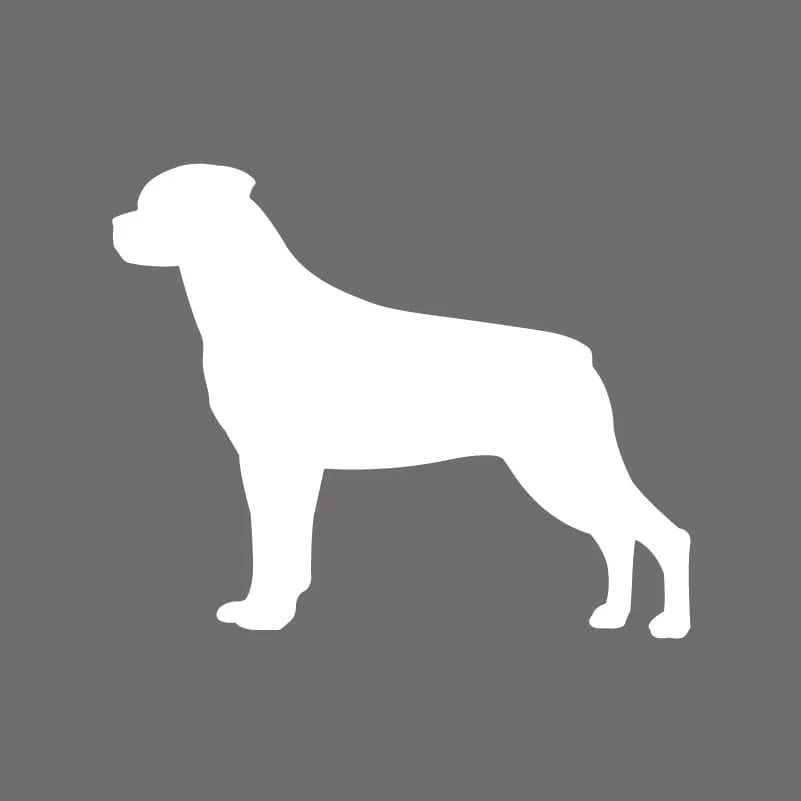 Rottweiler Embroidered AKC Men's Polo - Image 5