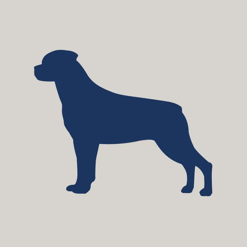 Rottweiler AKC Embroidered Visor - Image 8