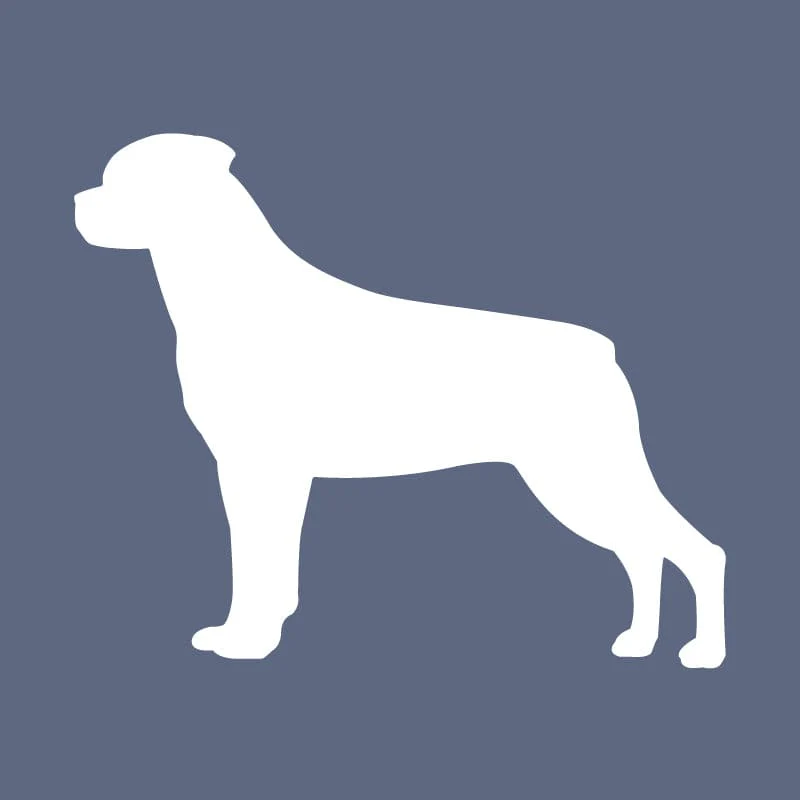 Rottweiler - Beanie - Image 2