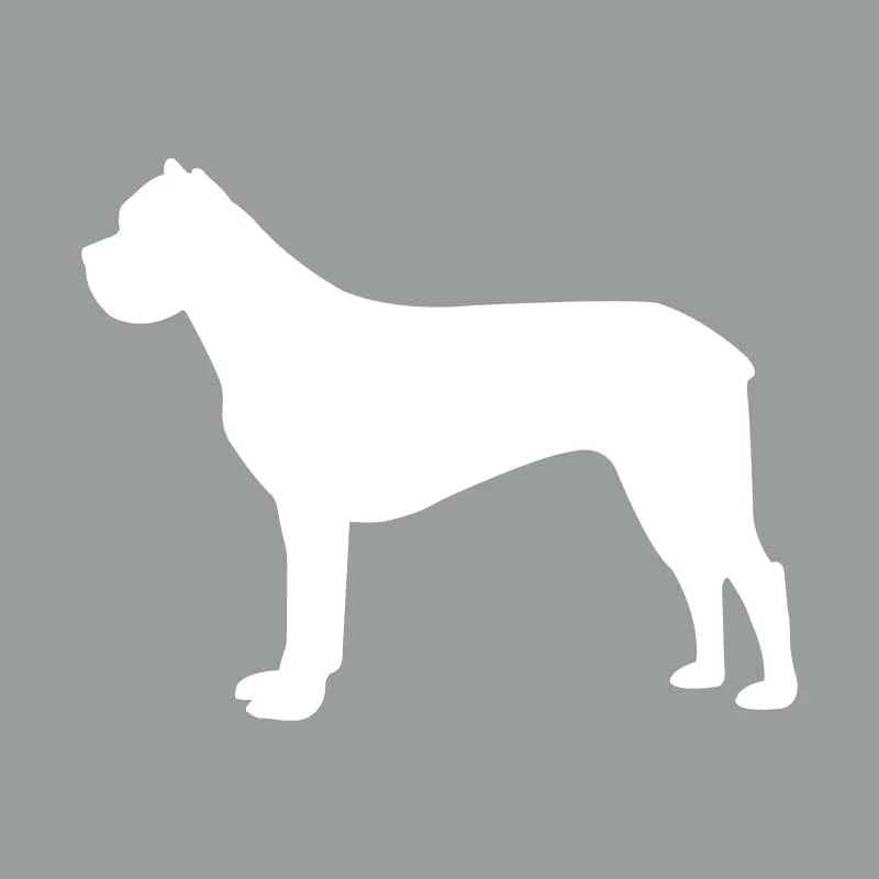 Rottweiler - Beanie - Image 4