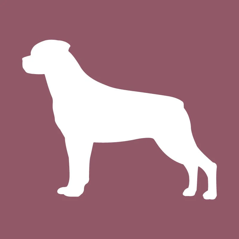 Rottweiler - Beanie - Image 6