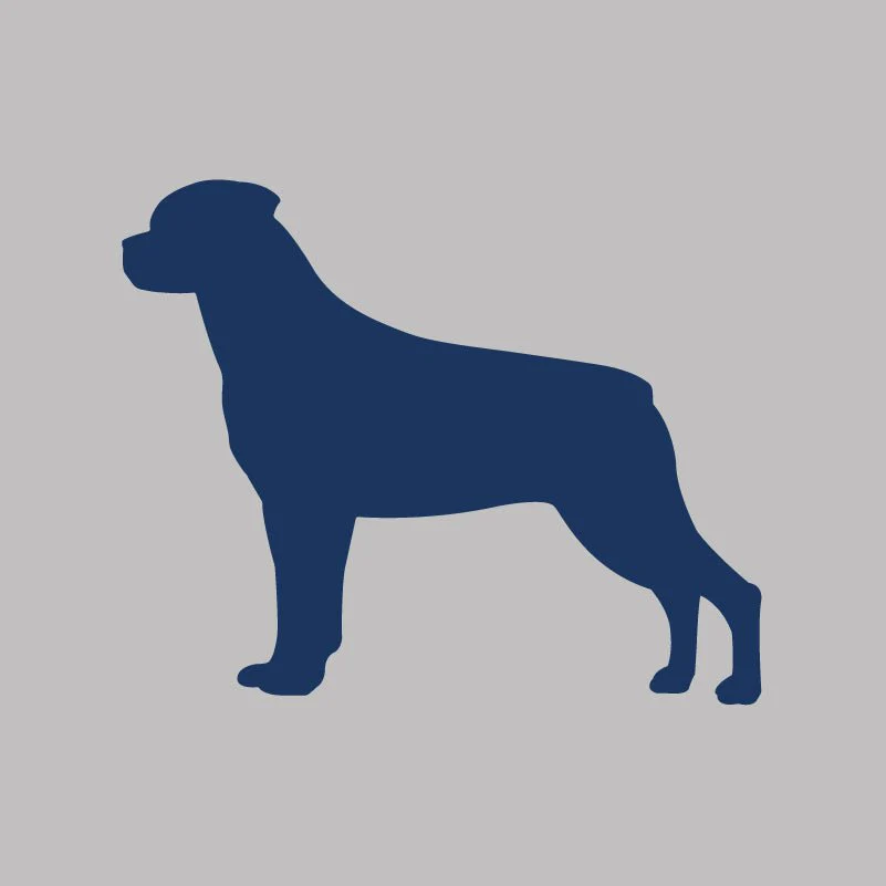 Rottweiler Infant Onesie - Image 2