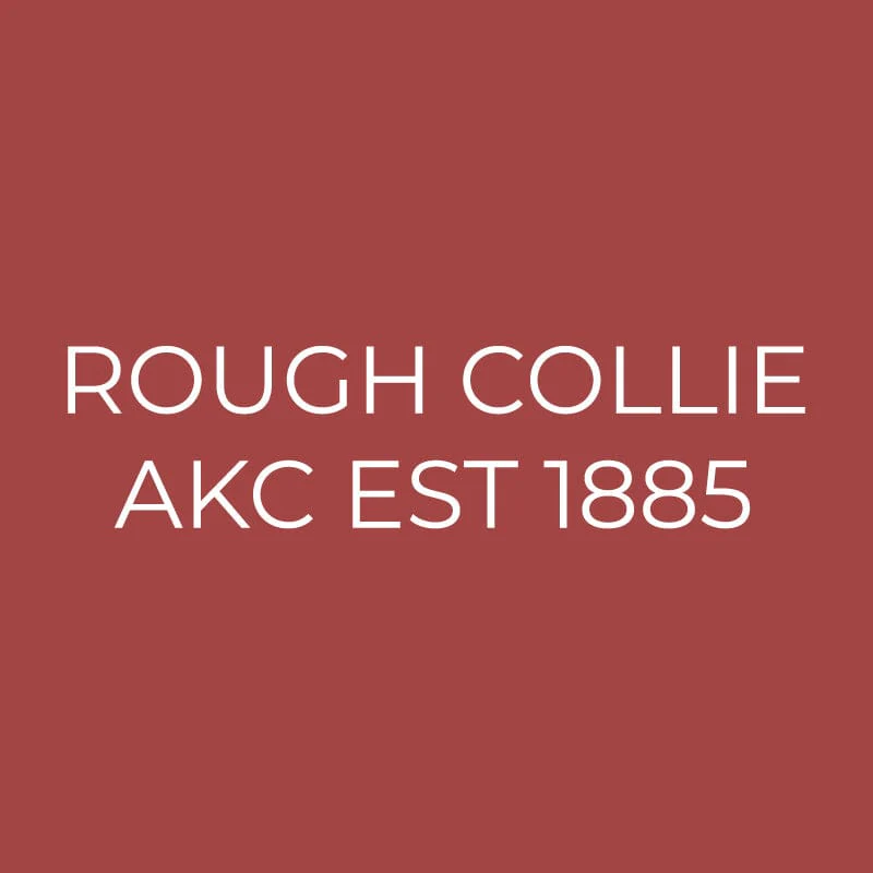 Collie Embroidered AKC Quarter Zip - Image 12