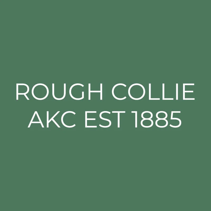 Collie Embroidered AKC Quarter Zip - Image 15