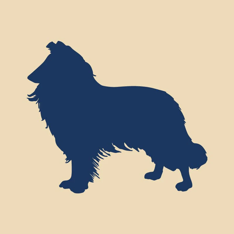 Collie Embroidered AKC Quarter Zip - Image 17