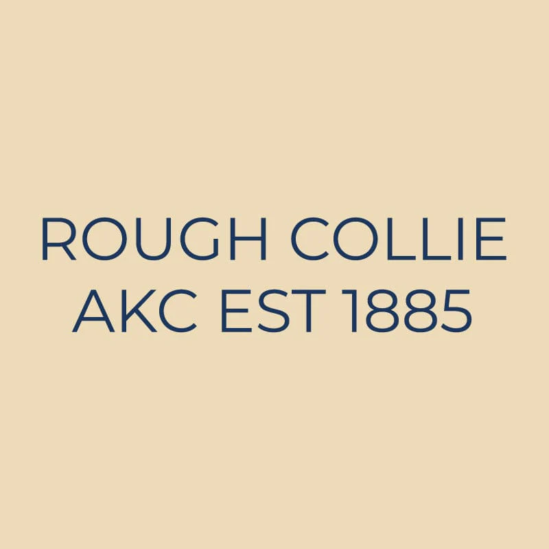 Collie Embroidered AKC Quarter Zip - Image 18