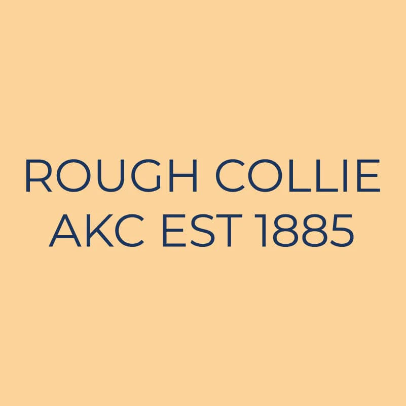 Collie Embroidered AKC Quarter Zip - Image 3