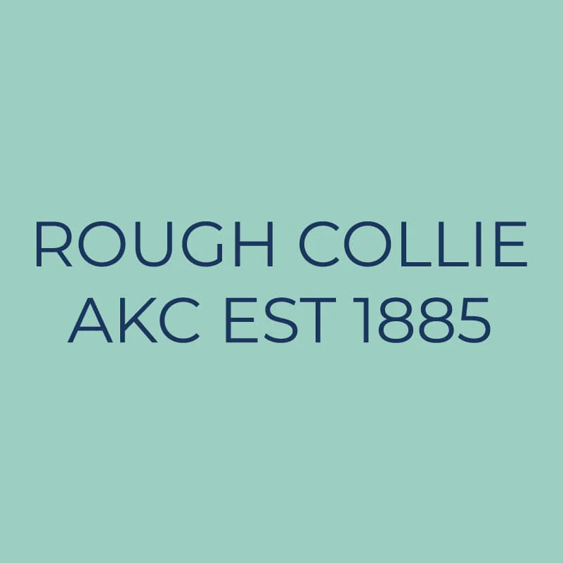 Collie Embroidered AKC Quarter Zip - Image 6