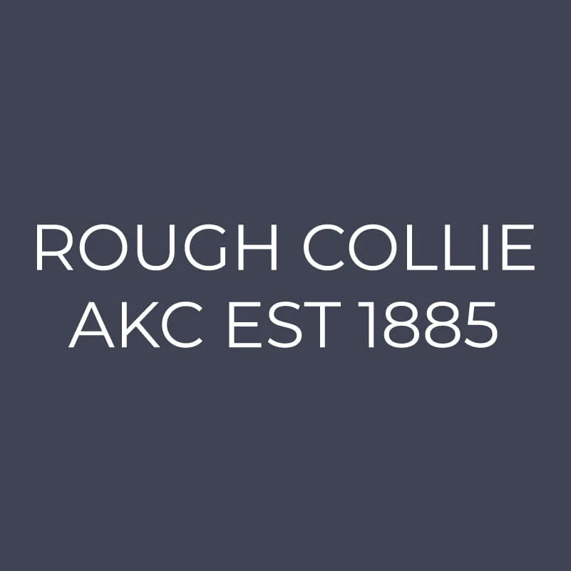 Collie Embroidered AKC Quarter Zip - Image 9