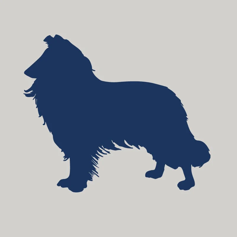 Collie AKC Embroidered Visor - Image 4
