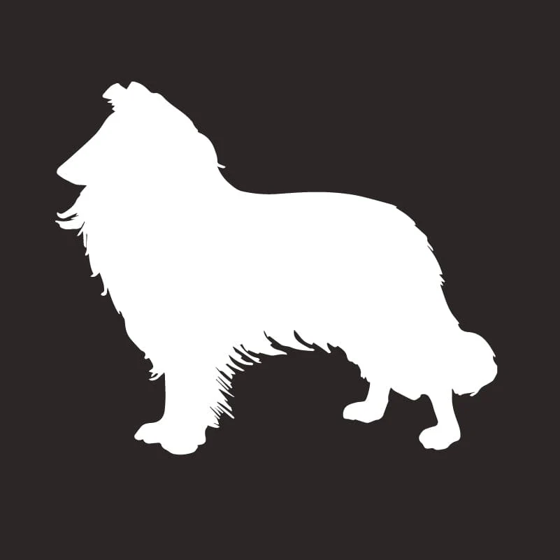 Collie AKC Embroidered Visor - Image 6