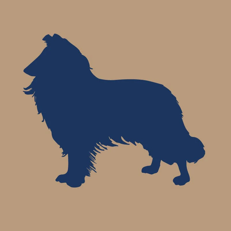 Collie AKC Embroidered Visor - Image 8
