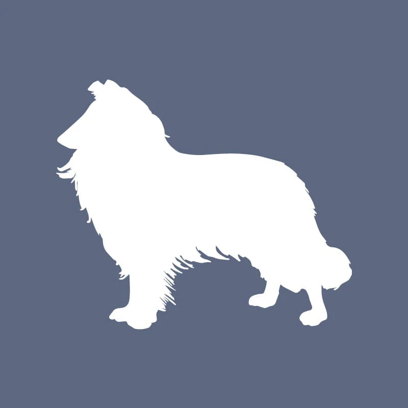 Collie Beanie - Image 2