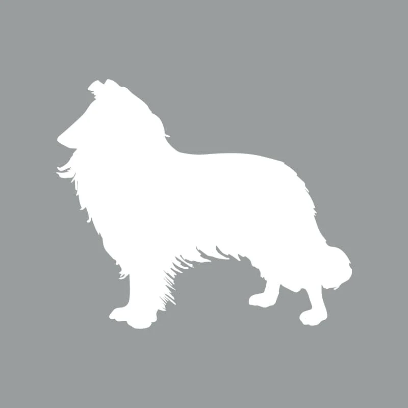 Collie Beanie - Image 4