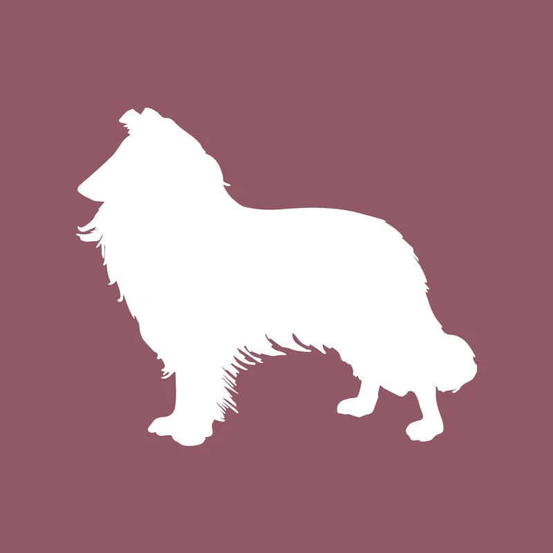 Collie Beanie - Image 6