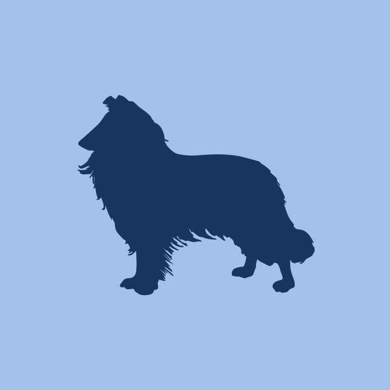 Rough Collie Children's Full Zip Sweatshirt - Image 2