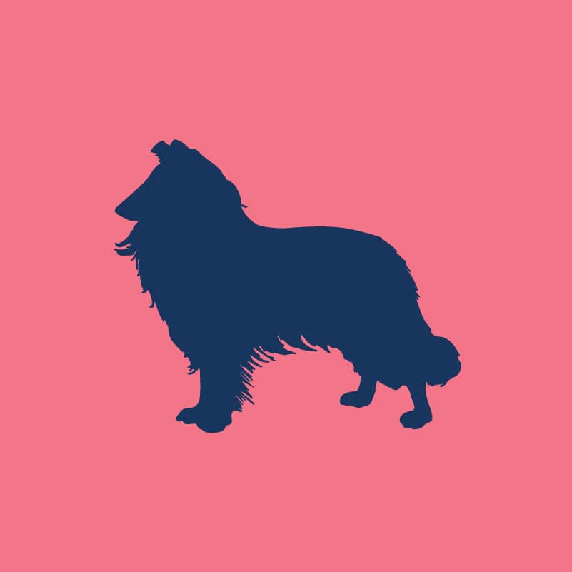 Rough Collie Children's Full Zip Sweatshirt - Image 4