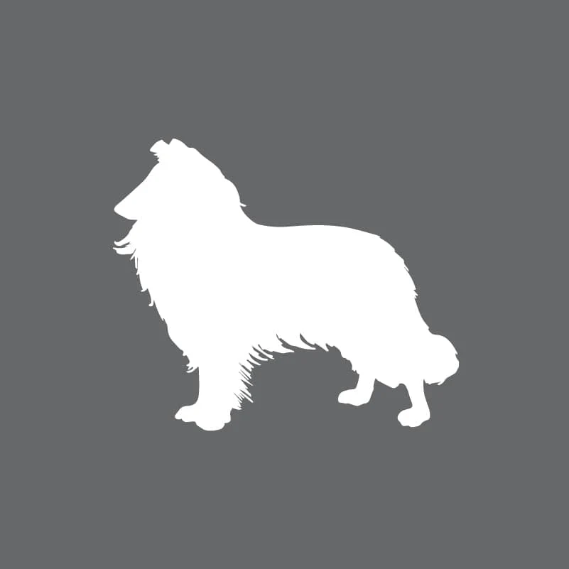 Rough Collie Toddler Full Zip Sweatshirt - Image 2