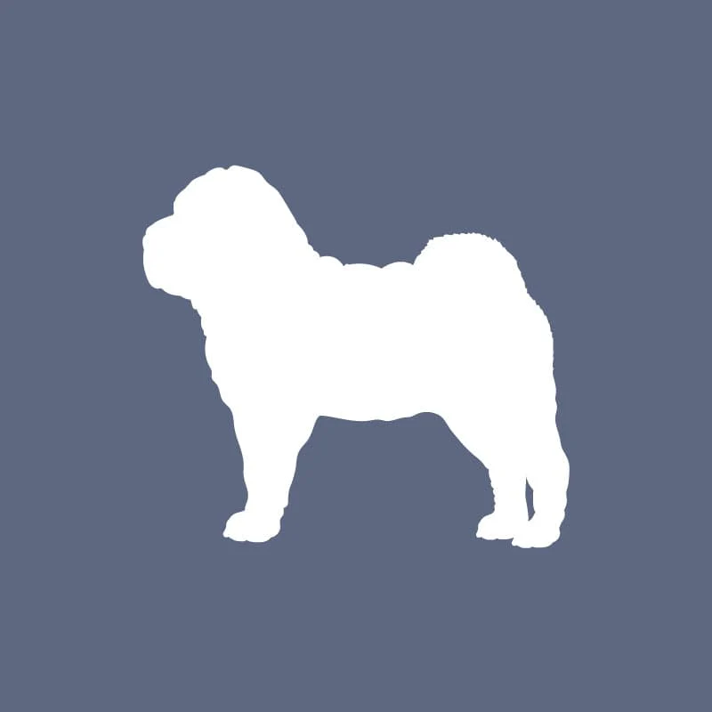 Shar-Pei - Beanie - Image 4