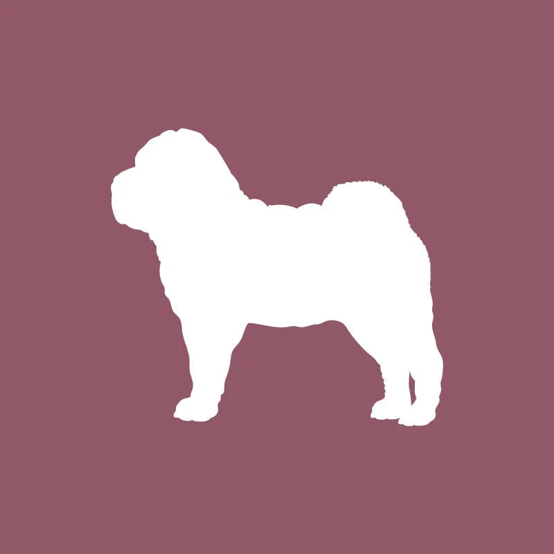 Shar-Pei - Beanie - Image 6