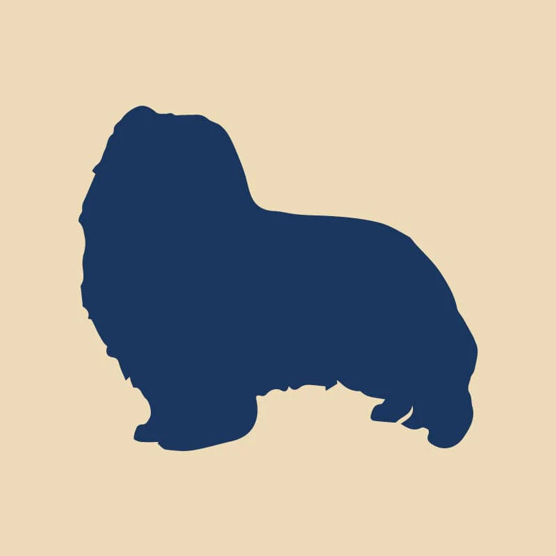 Shetland Sheepdog Embroidered AKC Quarter Zip - Image 11