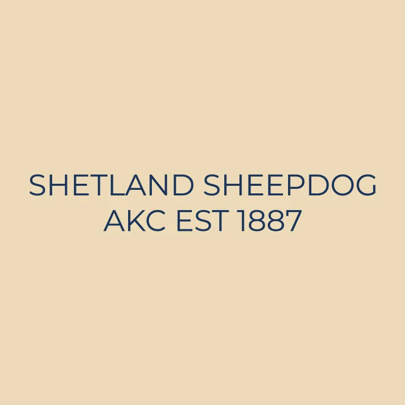 Shetland Sheepdog Embroidered AKC Quarter Zip - Image 12