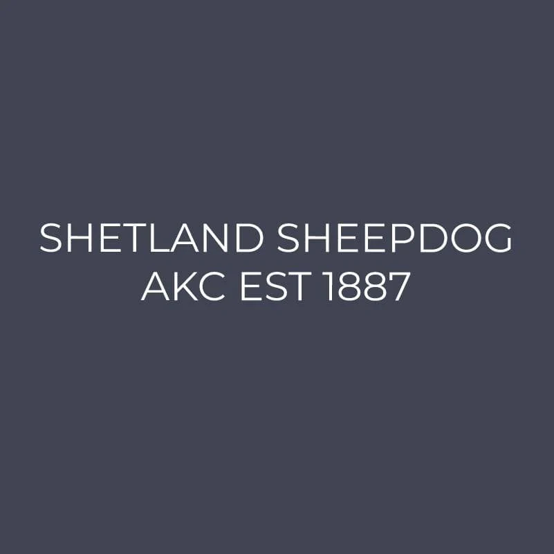 Shetland Sheepdog Embroidered AKC Quarter Zip - Image 15