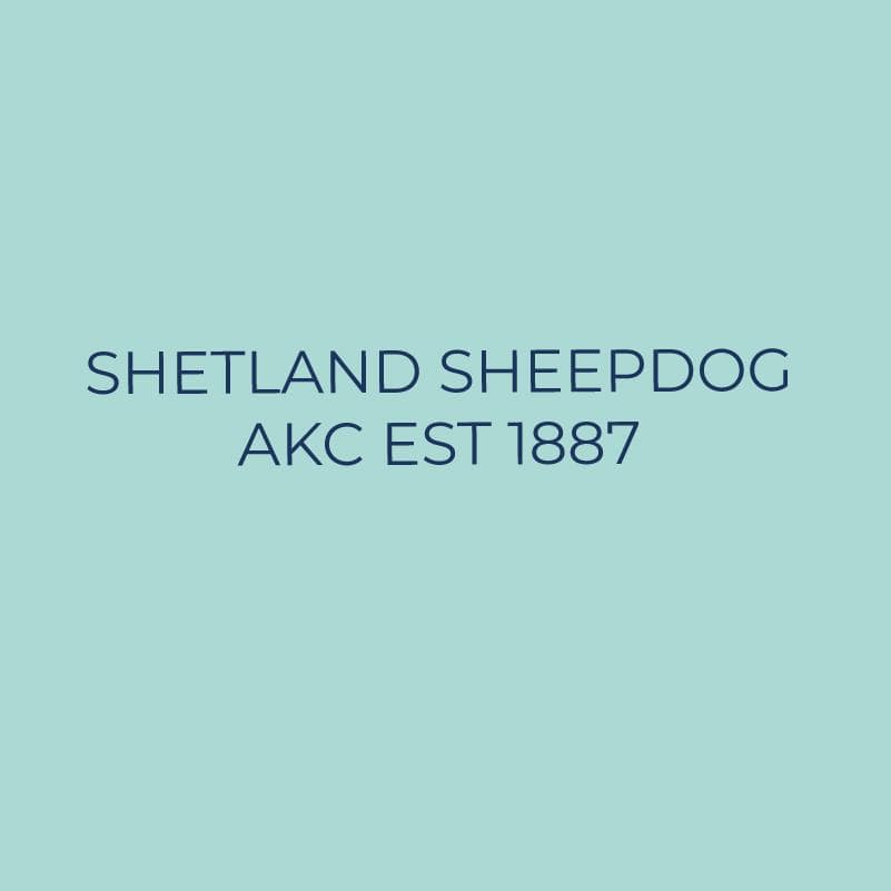 Shetland Sheepdog Embroidered AKC Quarter Zip - Image 18