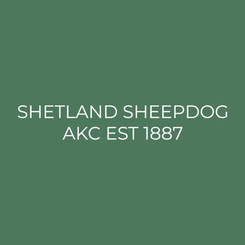 Shetland Sheepdog Embroidered AKC Quarter Zip - Image 3
