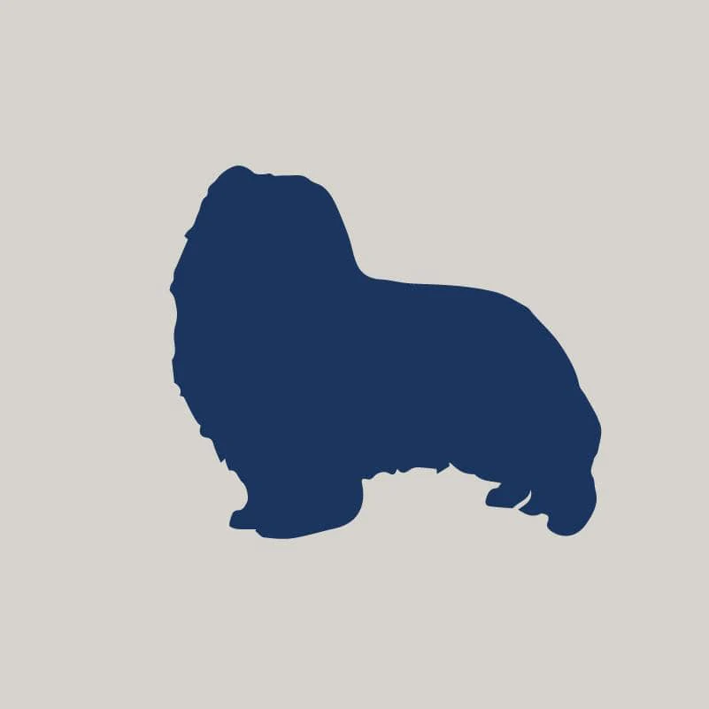 Shetland Sheepdog AKC Embroidered Visor - Image 2