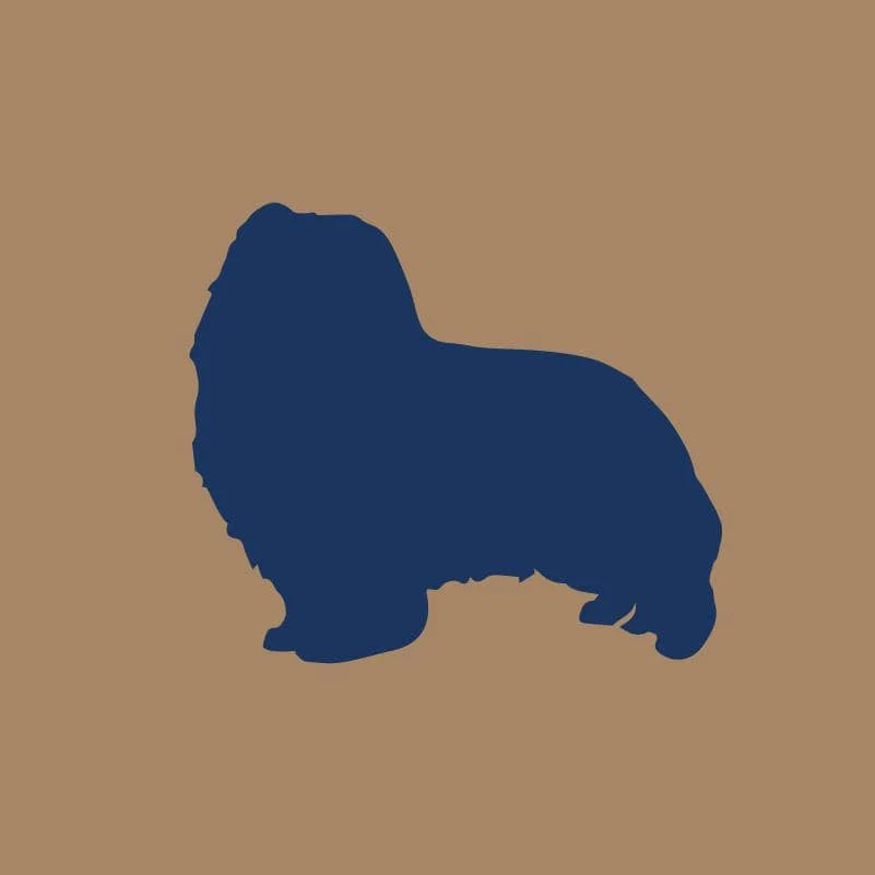 Shetland Sheepdog AKC Embroidered Visor - Image 8