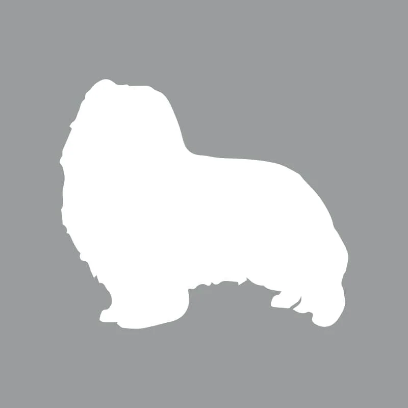 Shetland Sheepdog - Beanie - Image 4