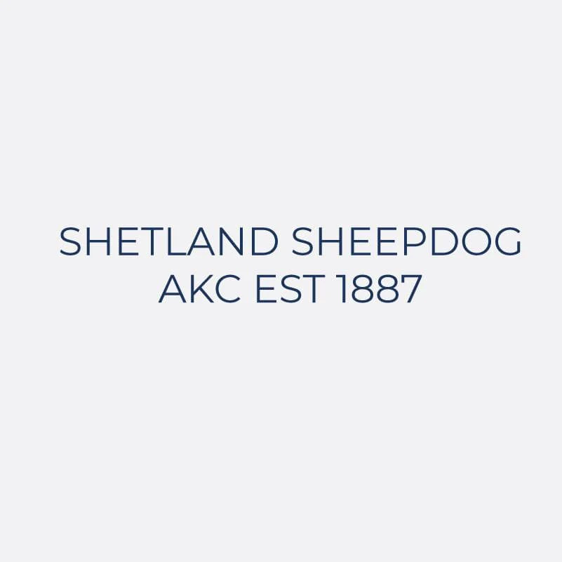 Shetland Sheepdog Embroidered AKC Women's Polo - Image 9