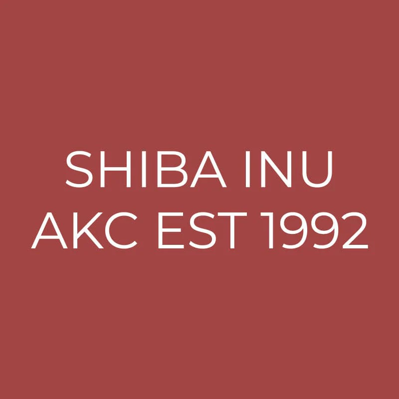 Shiba Inu Embroidered AKC Quarter Zip - Image 15