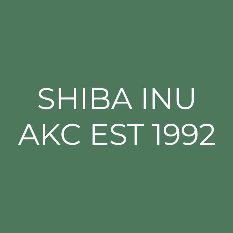 Shiba Inu Embroidered AKC Quarter Zip - Image 3