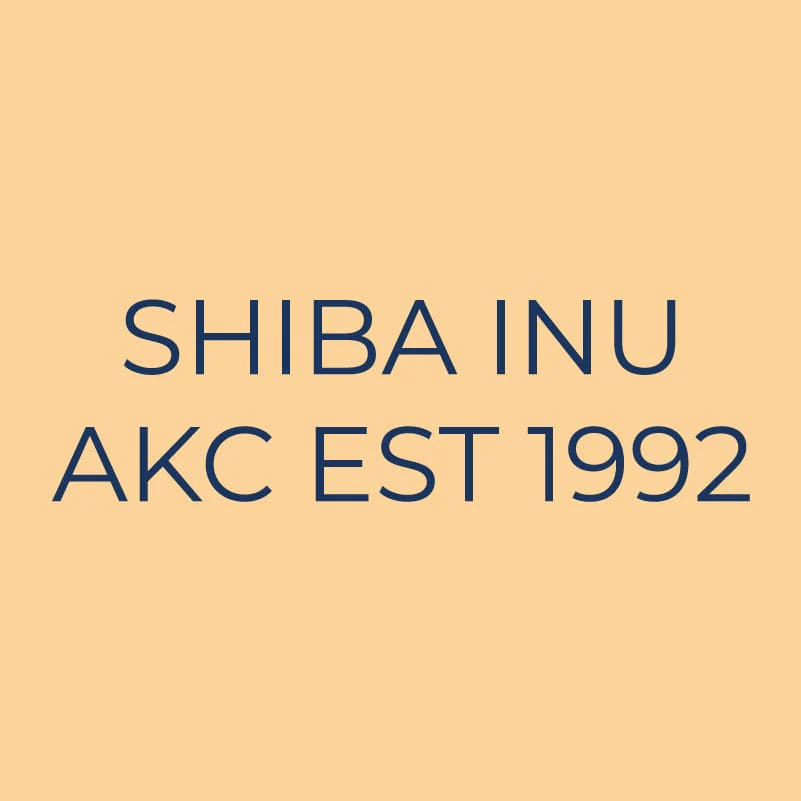 Shiba Inu Embroidered AKC Quarter Zip - Image 6