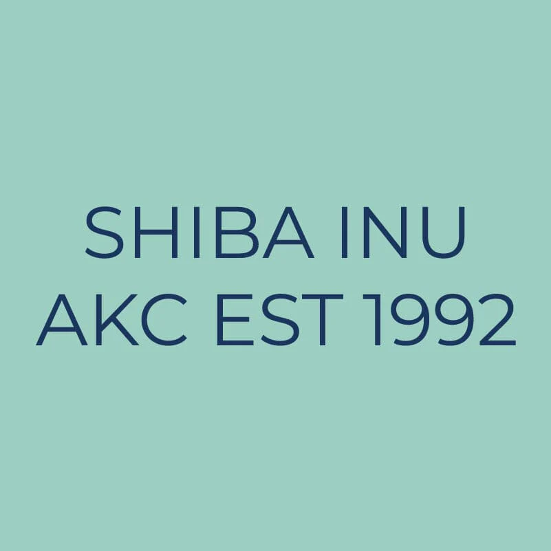 Shiba Inu Embroidered AKC Quarter Zip - Image 9